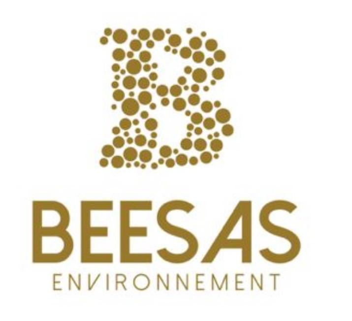 Logo BEESAS